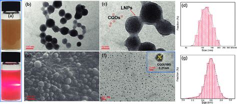 (a) Tyndall effect image of the colloidal solution. (b) and (c) TEM... | Download Scientific Diagram