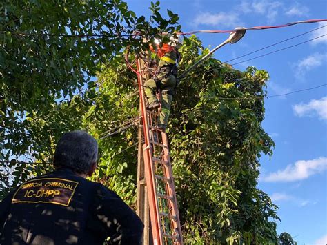 Fábrica de gelo é flagrada furtando energia um mês após ser notificada