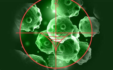 The Scalar Light Pathogenic Cleanse Disassembles The Molecular Bonds Of Chlamydophila Pneumoniae