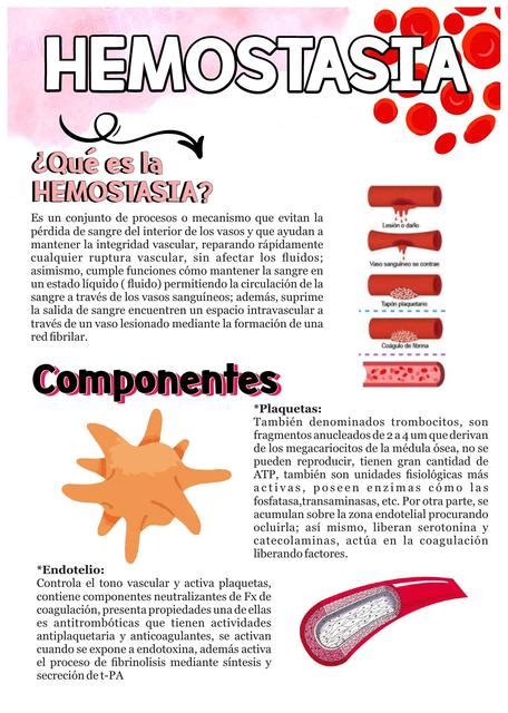 Hemostasia Medical Notes Udocz