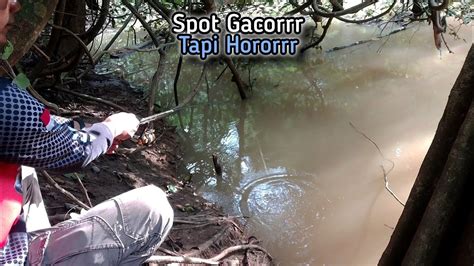 Ngeri Ngeri Sedap Spot Gacor Tapi Horor Mancing Sendiri Harus