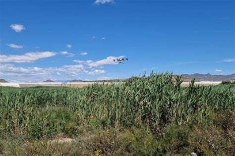 MAZARRÓN Mazarrón lucha contra los mosquitos con drones murcia