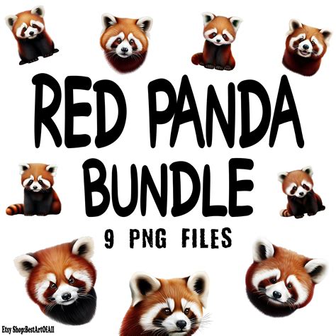 Red Panda Clipart Png Bundle 9 Png Transparent Red Panda Clipart Etsy