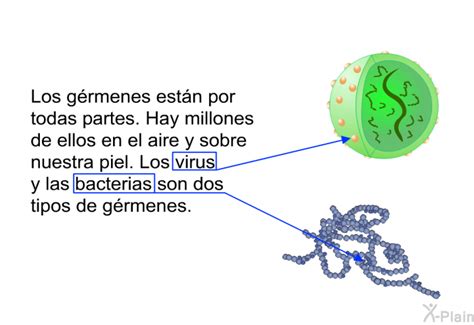 PatEdu Prevención de infecciones de MRSA Cuidado de salud