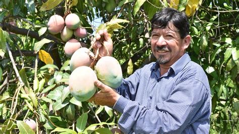 Midagri Sembrando Un Mejor Futuro Para Los Campesinos En El Per