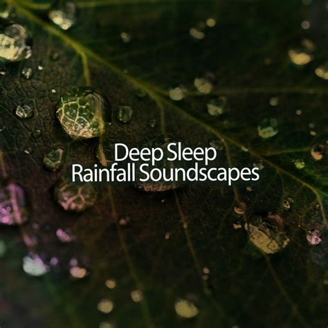 Deep Sleep Rainfall Soundscapes Album By Rain Recorders Spotify