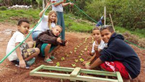 Neuer Gemeinschaftsgarten Zusammen Mit NGO Teto Und