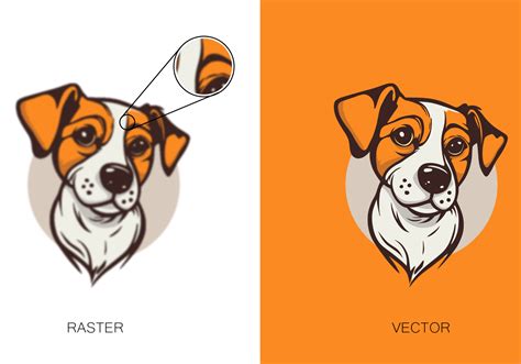 Vector Raster Concept by attiqahdesigner_246 on Dribbble