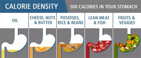 Calorie Density — How To Lose Weight Eating More Food