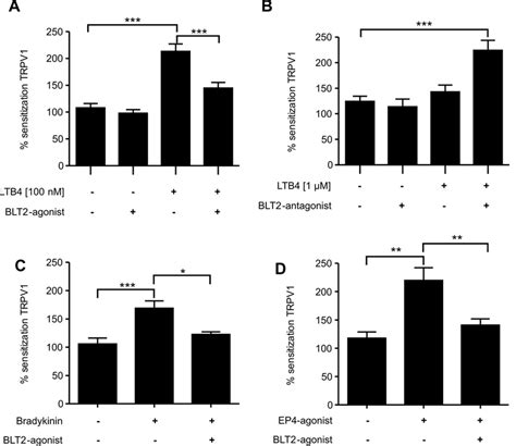 Activation Of Blt2 Causes Desensitization Of Trpv1 Mediated Calcium