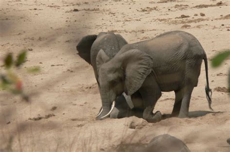 Kitulo National Park Izoba Tours