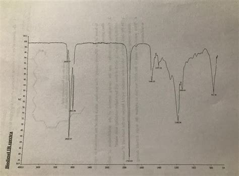 Solved The IR spectrum has been attached at the end of this | Chegg.com