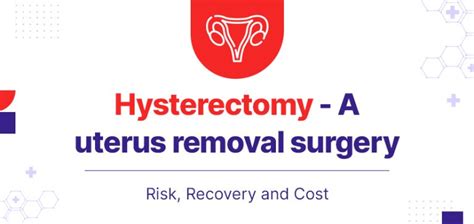 Hysterectomy A Uterus Removal Surgery Risk Recovery And Cost