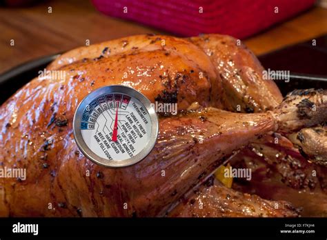 Turkey Thermometer Roast Cooked Temperature Cooking Meat Thermometer