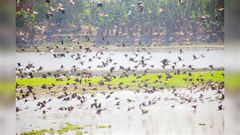 Heritage Tour | Explore Motijheel, the pearl lake of the Nawabs of ...