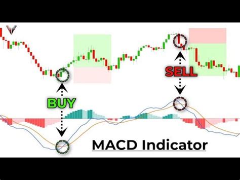 The MACD Indicator For Beginners Become An Expert Immediately YouTube