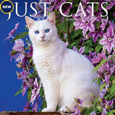 Willow Creek Press Just Cats 2024 Wall Calendar 12 L X 12 W Large