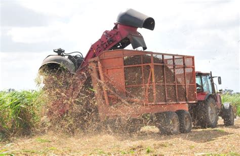 Sancti Sp Ritus Arranca Delante En La Zafra Azucarera Cubana Escambray