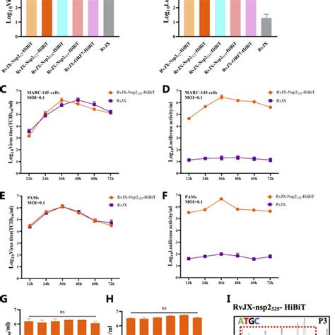 Application Of The Hibit Tagged Prrsv For Neutralizing Assay A B