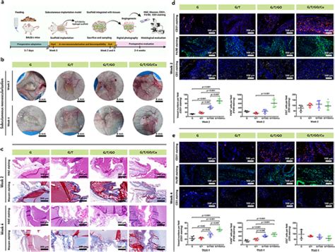 Full Article Go Cu Nanosheet Integrated Hydrogel Platform As A