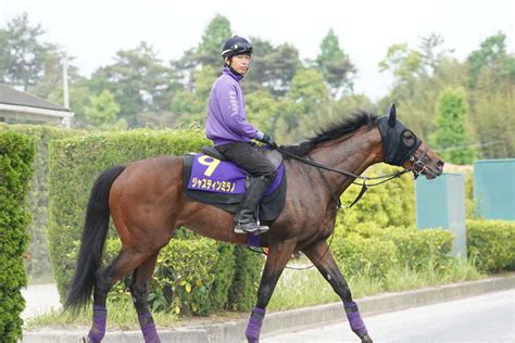 【日本ダービー】無敗2冠制覇へジャスティンミラノは順調そのもの 大江助手「成長が著しい」 サンスポzbat