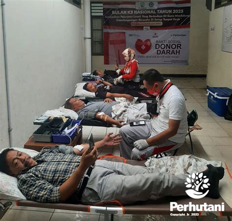 Perhutani Momentum Bulan K3 Nasional Perhutani Dan IIK Perhutani