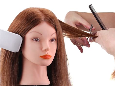 Mannequin Head With Human Hair Topdirect Dark Brown Real Hair