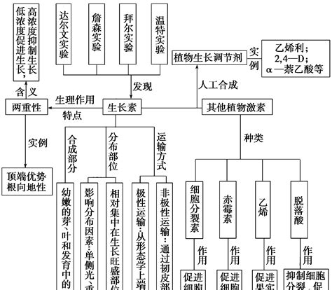 专题12 植物生命活动调节word文档在线阅读与下载免费文档