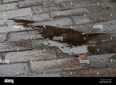 Puddle On The Pavement In The Rain Stock Photo Alamy