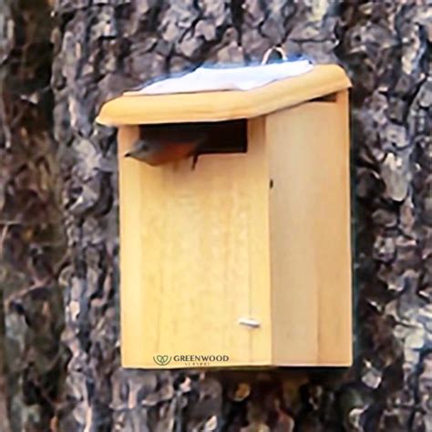 Sparrow Proof Bluebird House Greenwood Nursery