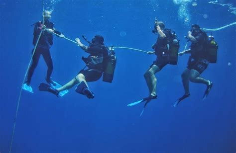 Snorkeling vs Scuba Diving: What's the Difference? - SMACODIVE