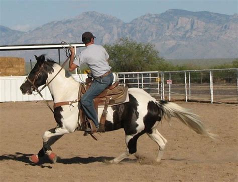 4 Ropin Ranch, Inc