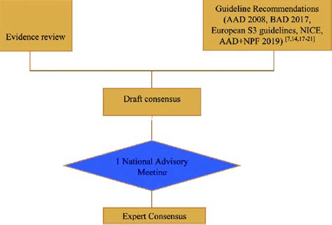 Methodology Of The Expert Consensus Recommendation Download