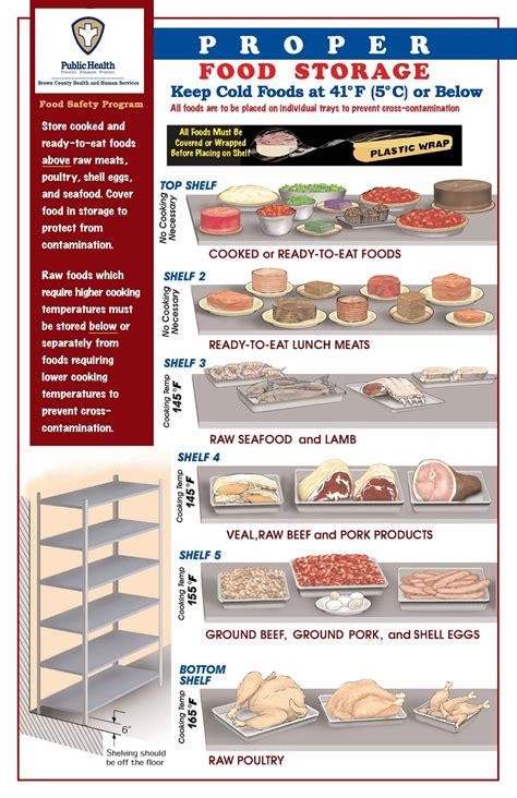 Cooler Food Storage Chart Sexiz Pix