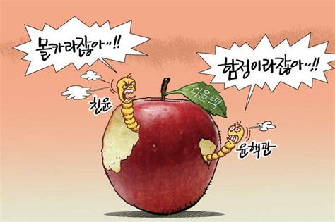 김회룡의 시사 Toon