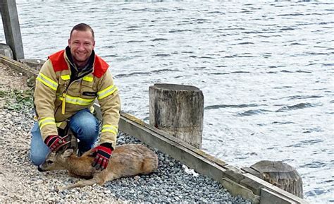 Lübeck live Bambi Alarm im Fischereihafen