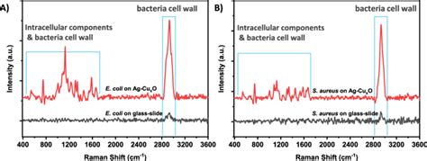 Sers Spectra Of Bacterial Strains Collected On The Surface Of The Agcu