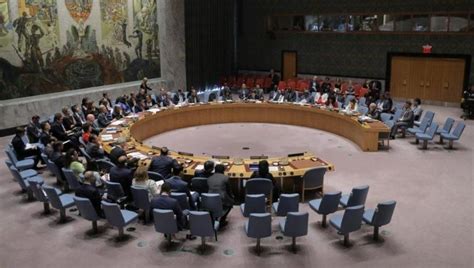 Russia Vetoes Unsc Western Draft Resolution On Cross Border Aid To Syria