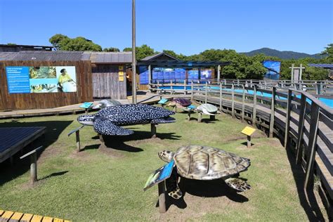 Projeto TAMAR Florianópolis Florianópolis