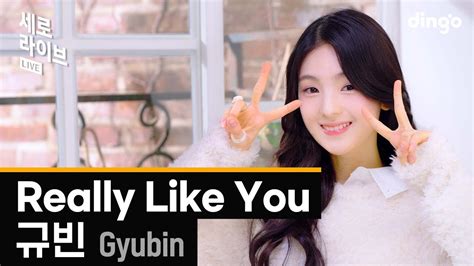 [세로라이브] 규빈 Gyubin Really Like Youㅣ딩고뮤직ㅣdingo Music Youtube