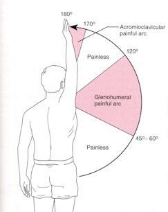 Exam And Eval Motion Examination Of The Shoulder Complex Flashcards