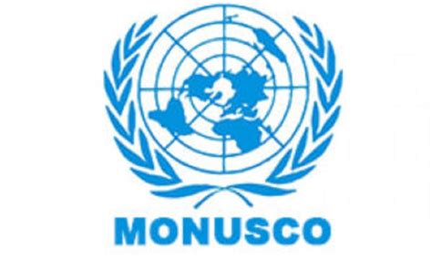 La MONUSCO Recrute Pour Ce Poste 01 Novembre 2023 YOP L FRII