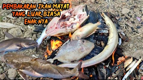 Peroses Pembakaran Ikan Yang Luar Biasa Pembakaran Ikan Dipinggir