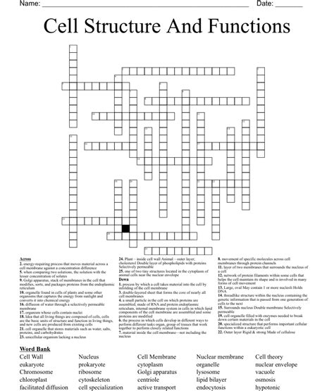 Cell Structure And Functions Crossword WordMint