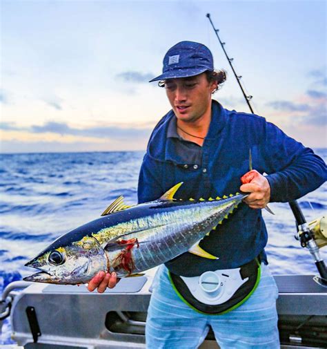 Yellowfin Tuna Techniques - The Fishing Website