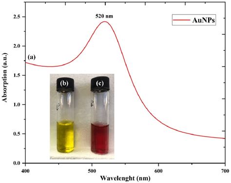 A Surface Plasmon Resonance Spr Of Aunps Which Have A Diameter Of