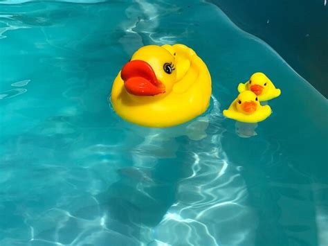 Premium Photo High Angle View Of Yellow Toys In Swimming Pool