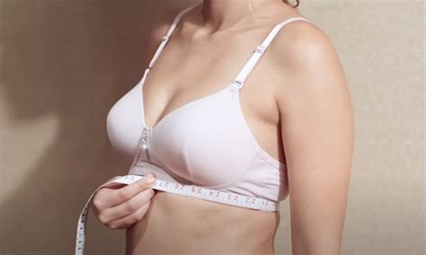 Bra Size Calculator Shyaway