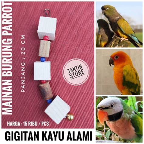 Jual Mainan Gigitan Kayu Alami Burung Parrot Falk Betet Kakatua Afgrey