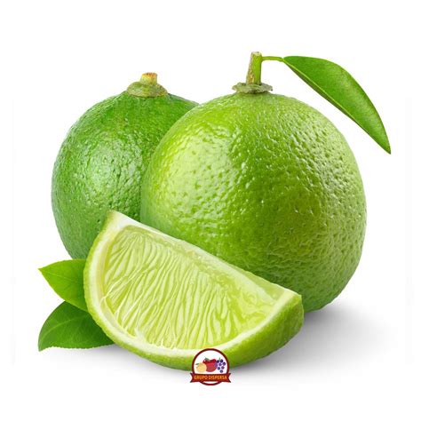 Limon Persa Grupo Dispersa